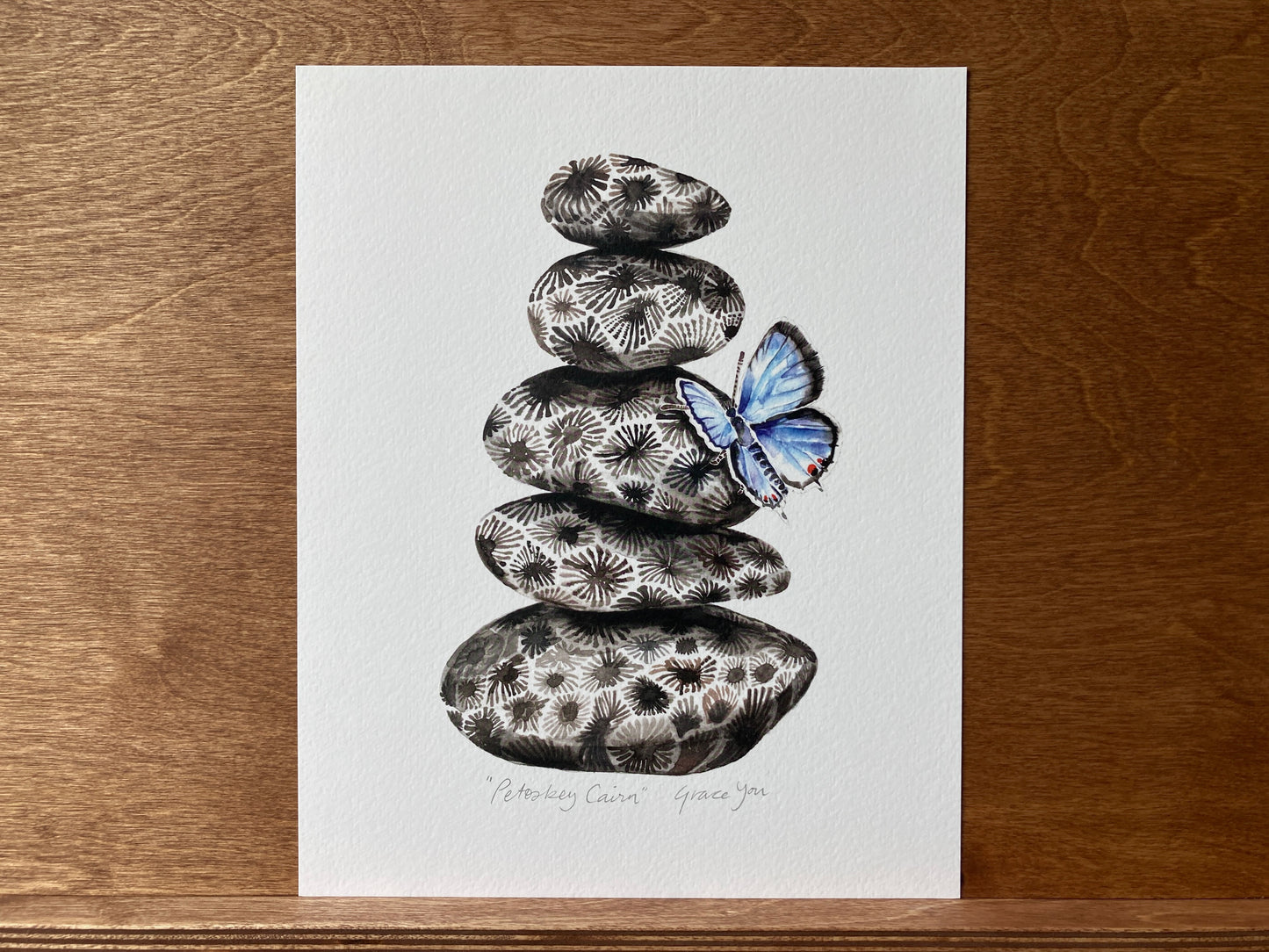 ART PRINT || Leland Blue Butterfly