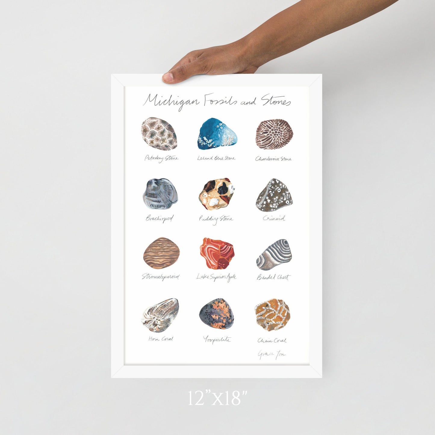 ART PRINT || Michigan Fossils & Stones || Featuring original paintings of 12 Michigan Fossils and Stones