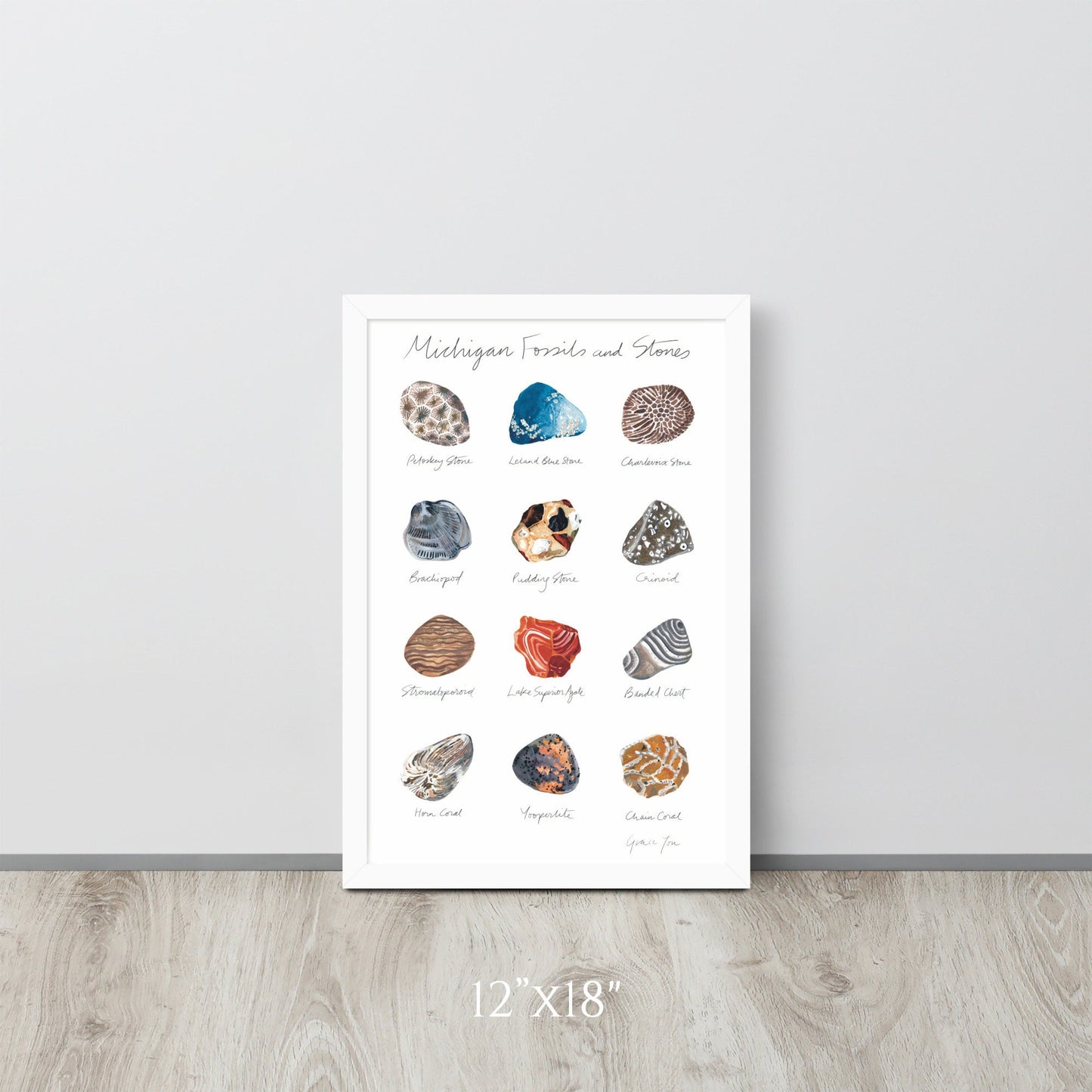 ART PRINT || Michigan Fossils & Stones || Featuring original paintings of 12 Michigan Fossils and Stones