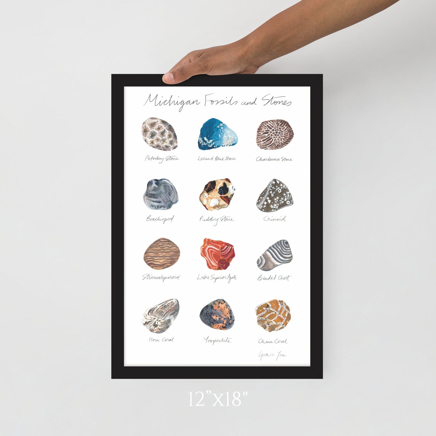 ART PRINT || Michigan Fossils & Stones || Featuring original paintings of 12 Michigan Fossils and Stones