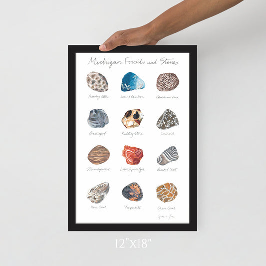 ART PRINT || Michigan Fossils & Stones || Featuring original paintings of 12 Michigan Fossils and Stones