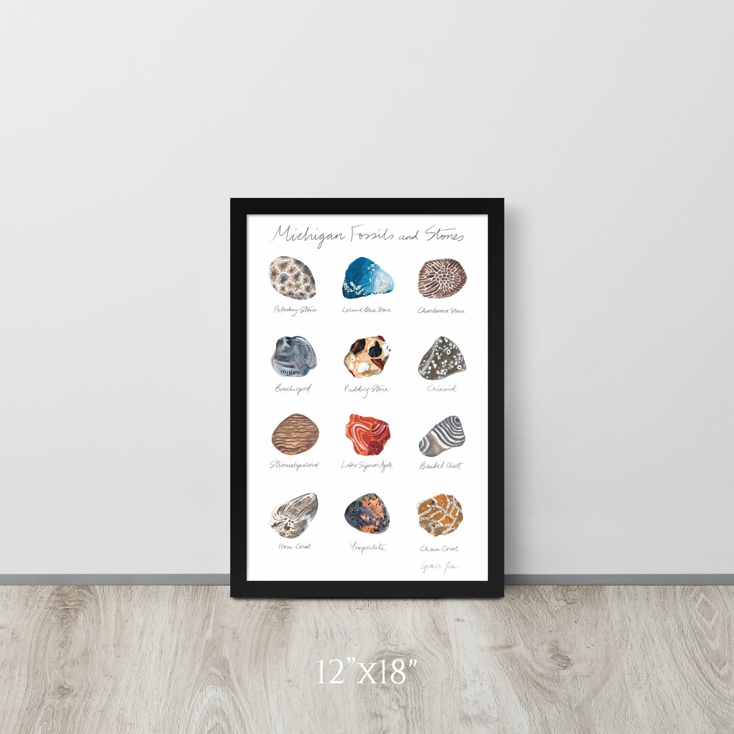 ART PRINT || Michigan Fossils & Stones || Featuring original paintings of 12 Michigan Fossils and Stones