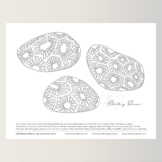 [Instant Download] Coloring Page || Petoskey Stones