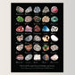 Art Print || "A to Z of Michigan Fossils, Minerals and Stones"