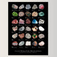 Art Print || "A to Z of Michigan Fossils, Minerals and Stones"