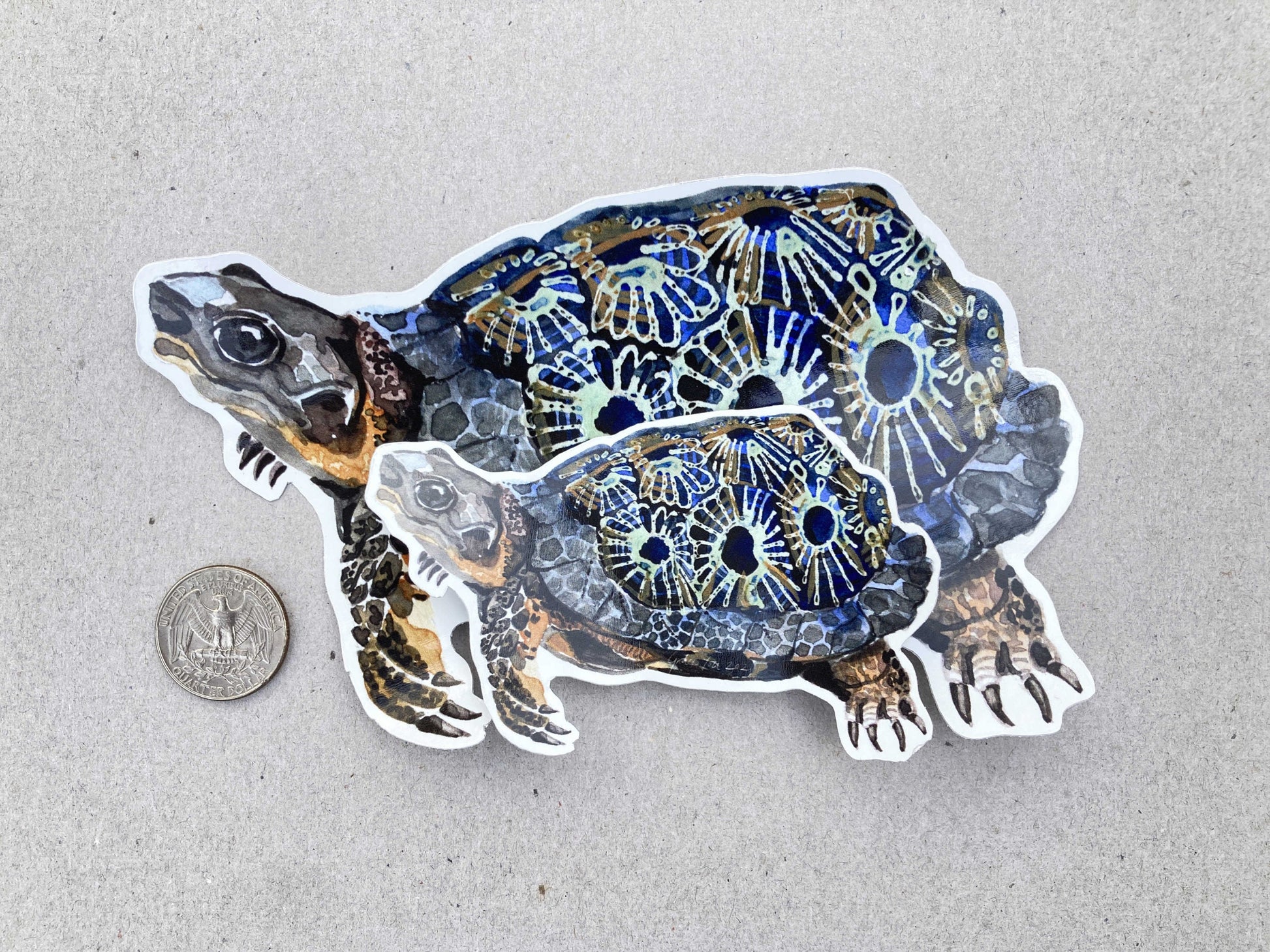 Vinyl Stickers || Petoskey Wood Turtle (2 sizes)