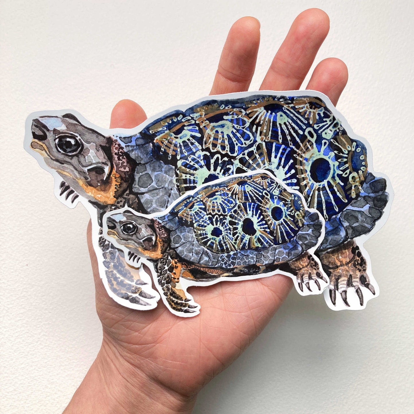 Vinyl Stickers || Petoskey Wood Turtle (2 sizes)