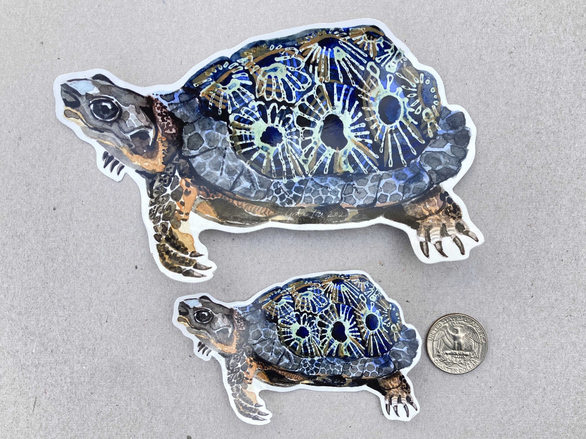 Vinyl Stickers || Petoskey Wood Turtle (2 sizes)