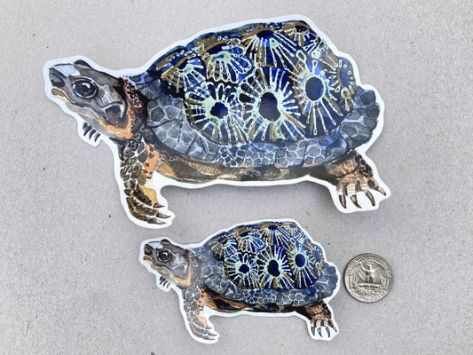 Vinyl Stickers || Petoskey Wood Turtle (2 sizes)