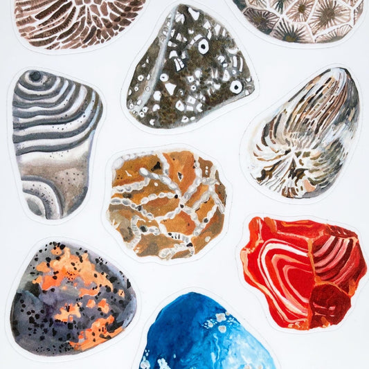 VINYL STICKER SHEET || Michigan Fossils & Stones