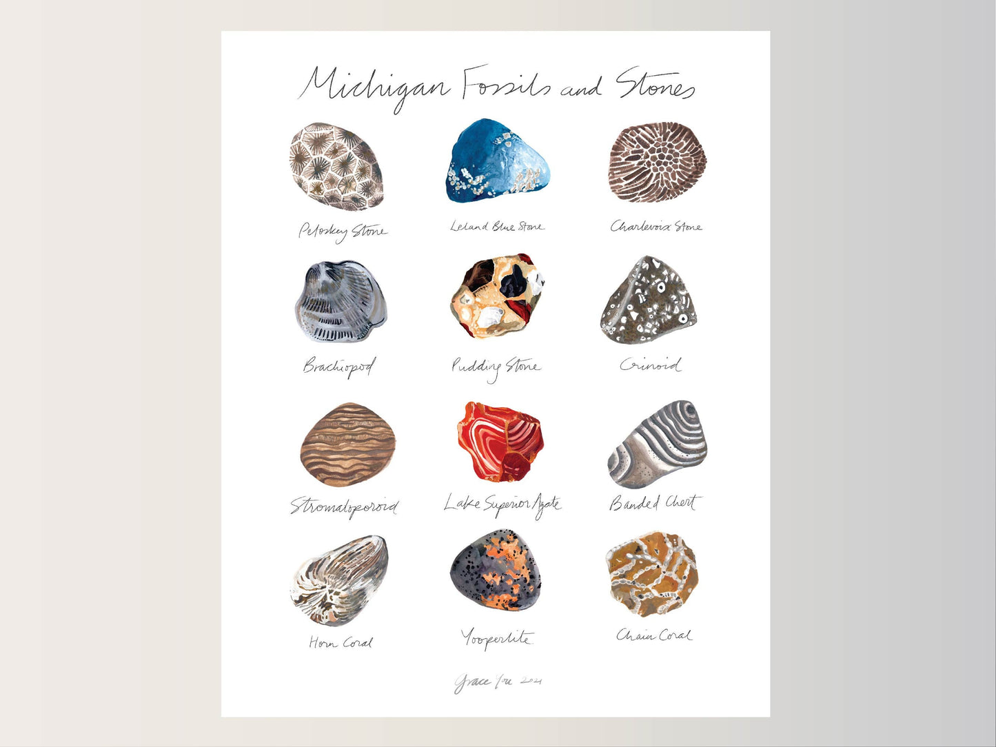 ART PRINT || Michigan Fossils & Stones || Featuring original paintings of 12 Michigan Fossils and Stones