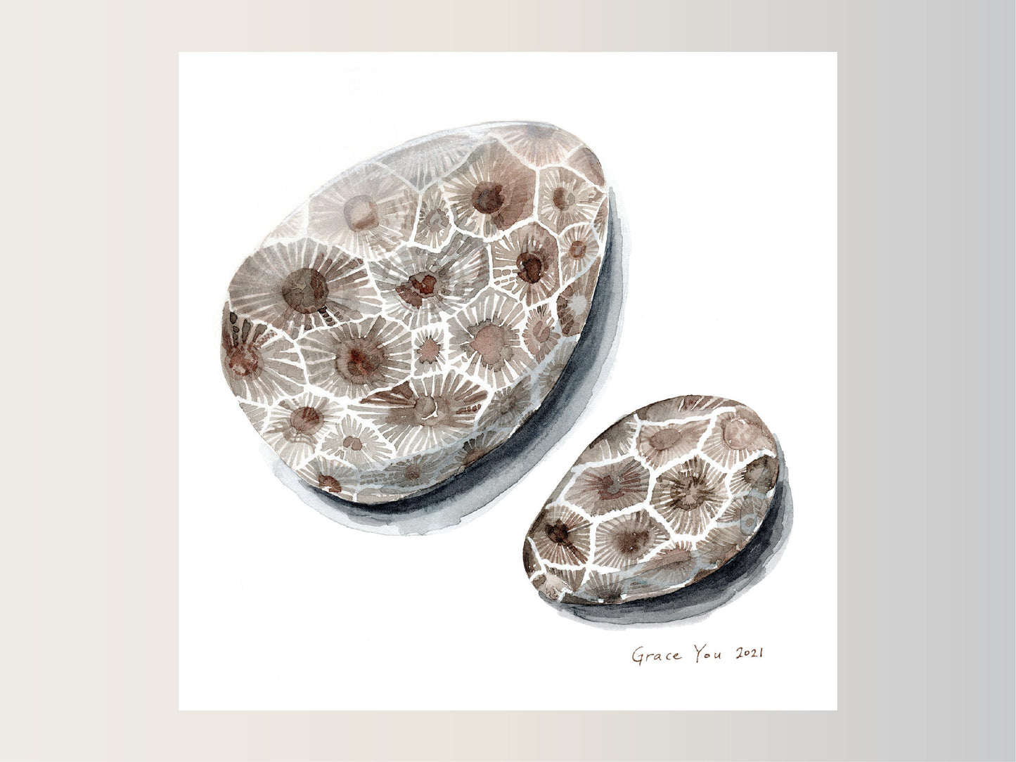 ART PRINT || Darlene's Beloved Petoskey Stones