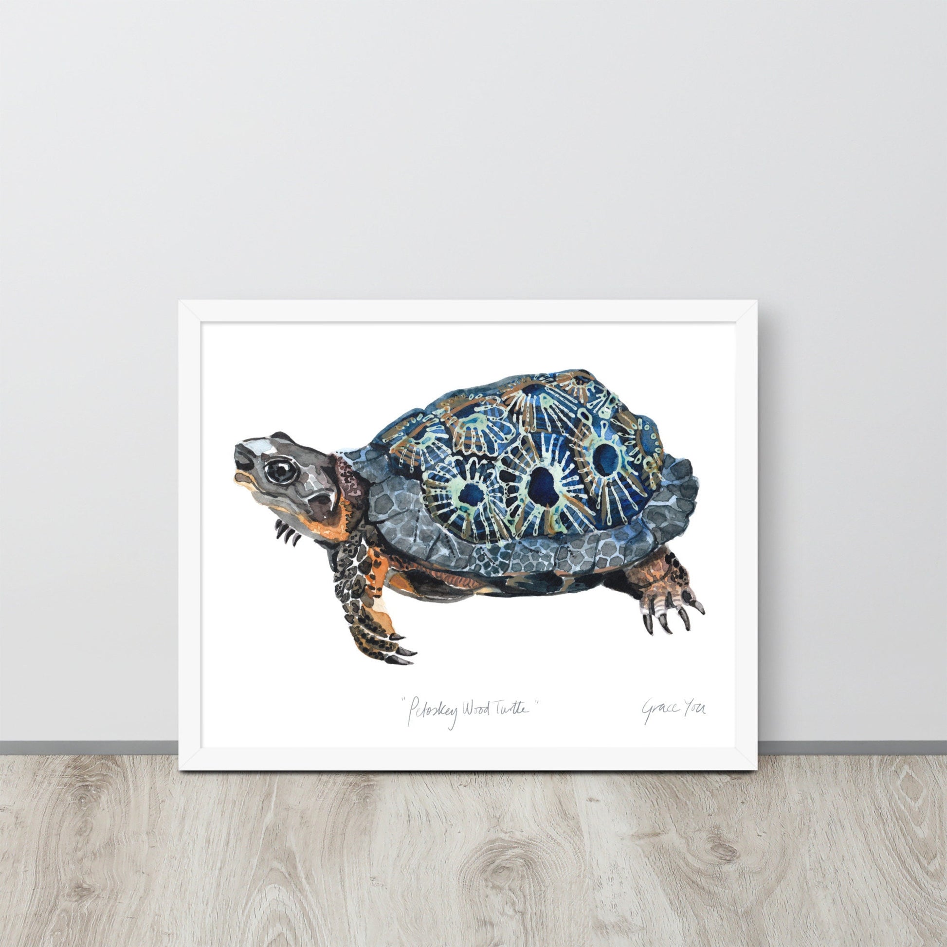 painted turtle drawing